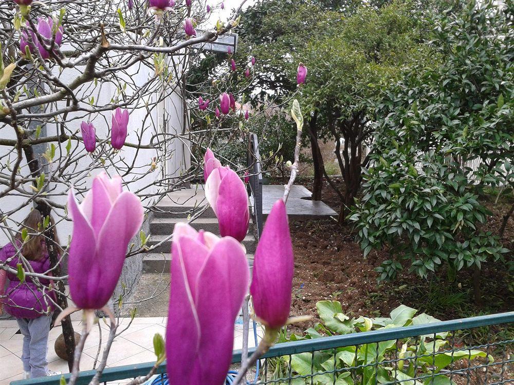Apartments Herceg Novi Bagian luar foto