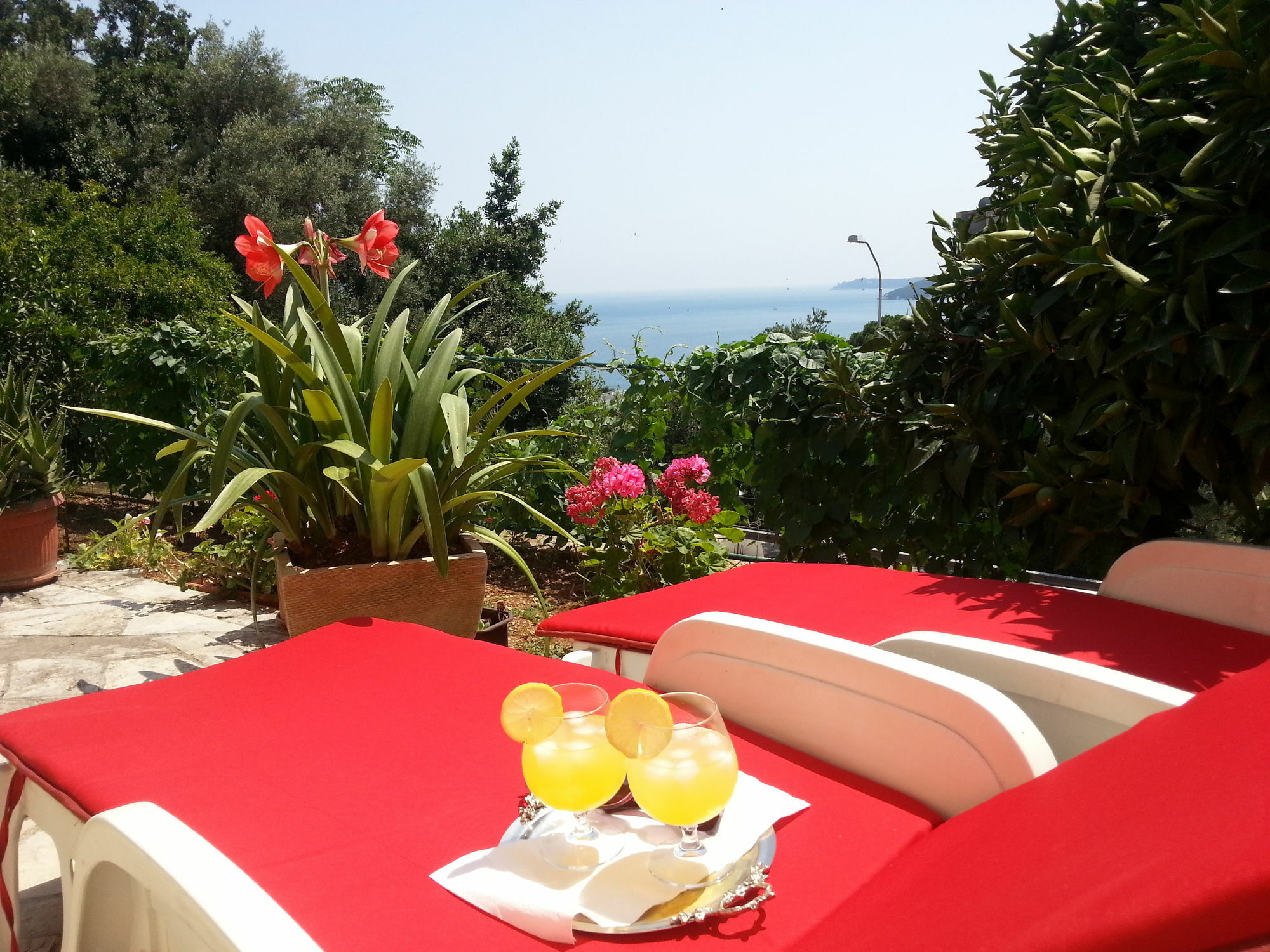 Apartments Herceg Novi Bagian luar foto